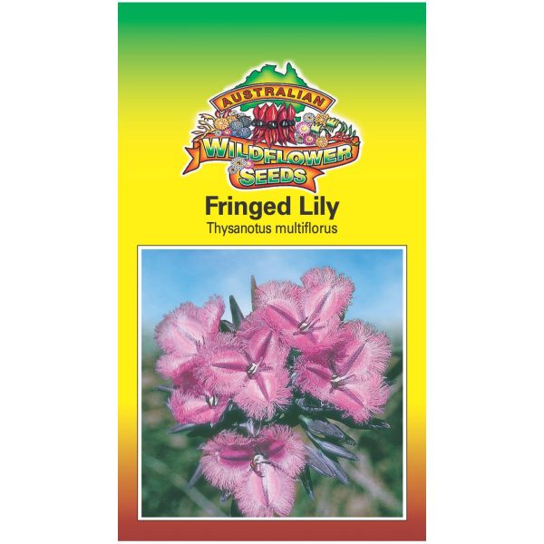 Fringed Lily Seeds Cheap