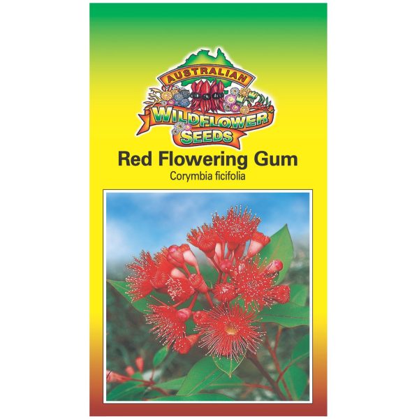 Red Flowering Gum Seeds Online