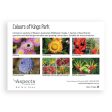 Western Australian Wildflower Seed Folder Sale