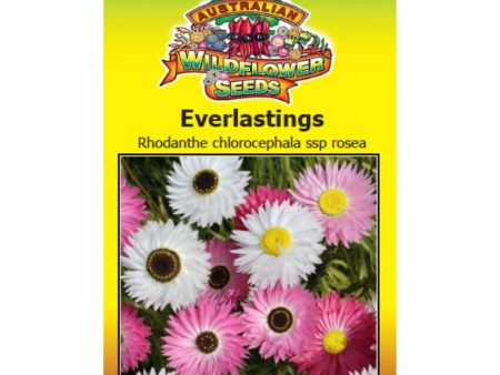 Everlastings (Pink and White) Seeds Fashion