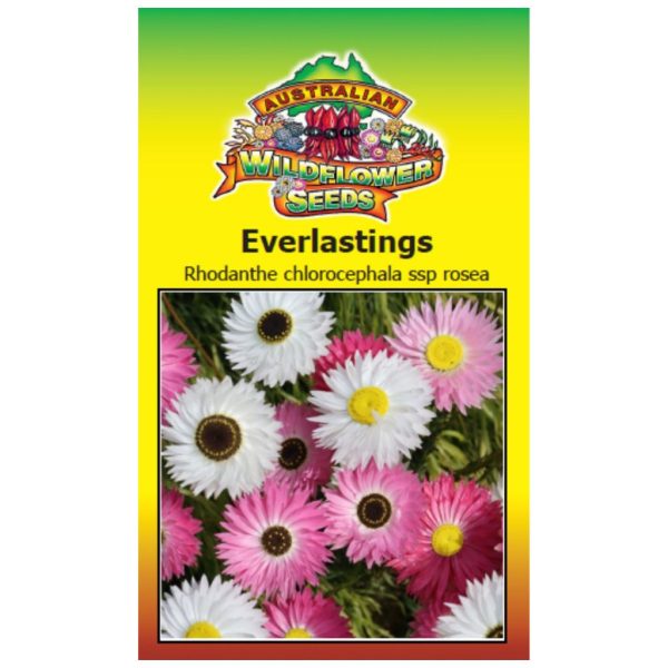 Everlastings (Pink and White) Seeds Fashion