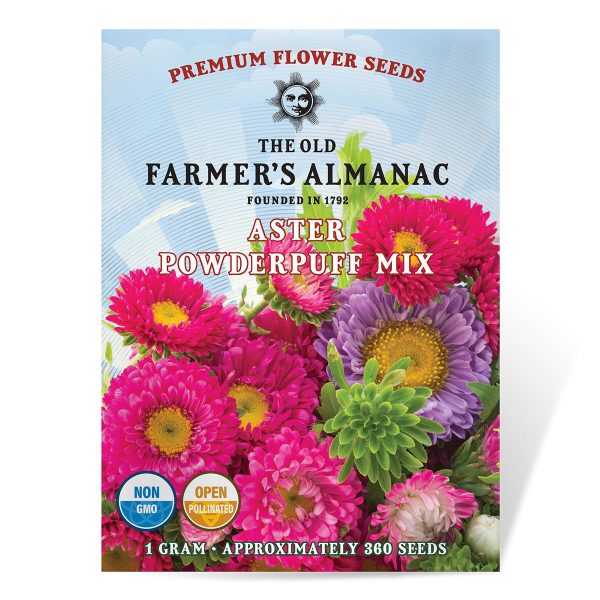 The Old Farmer s Almanac Powder Puff Mix Aster Seeds - Premium Non-GMO, Open Pollinated, USA Origin, Flower Seeds For Sale