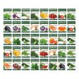 Purely Organic Vegetable Seed Variety Pack (40 USDA Organic, Heirloom, Non-GMO, Open Pollinated Seed Packets) Sale