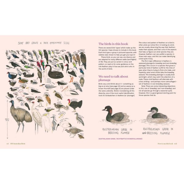 100 Australian Birds on Sale