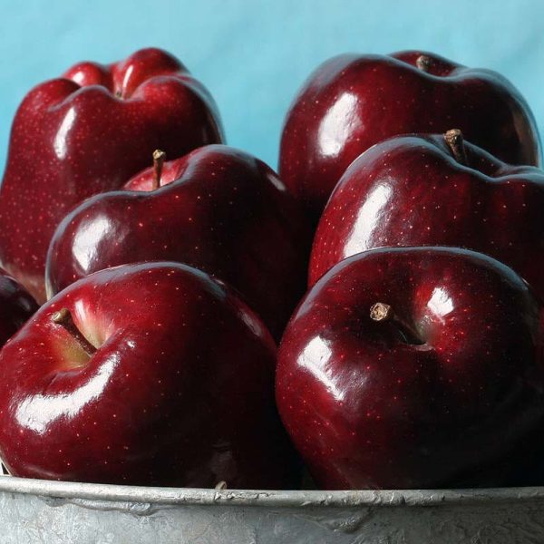 Royal Red Apples Supply