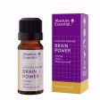 ABSOLUTE ESSENTIAL ORGANIC BRAIN POWER ESSENTIAL OIL BLEND 10ML Online now