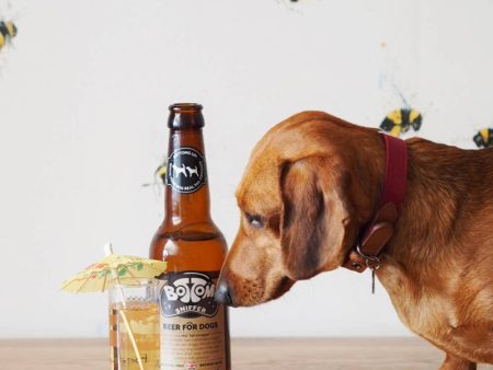 Woof&Brew Bottom Sniffer Dog Beer Gift Treat Discount