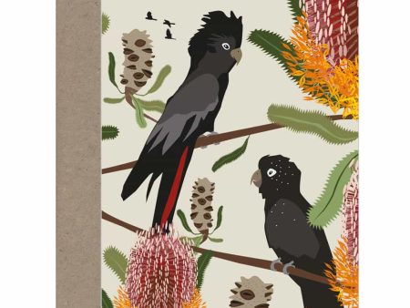 Black Cockatoos Card Online Hot Sale