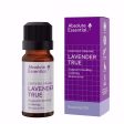 ABSOLUTE ESSENTIAL ORGANIC TRUE LAVENDER ESSENTIAL OIL 10ML For Cheap