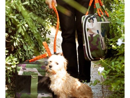 OUT-OF-OFFICE PET CARRIER Online