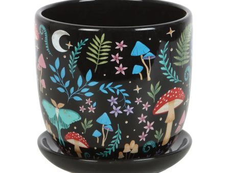 DARK FOREST CERAMIC PLANT POT WITH SAUCER Online now