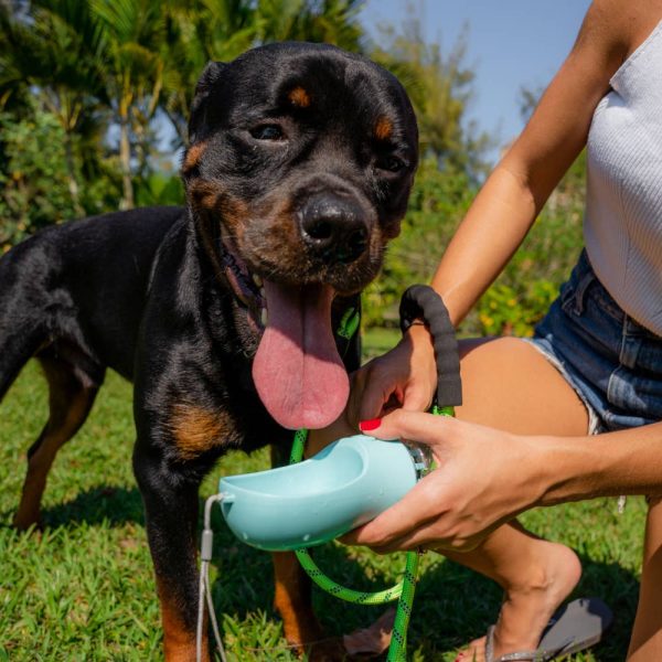 As Pets - Portable Pet Water Bottle (Pink) For Discount