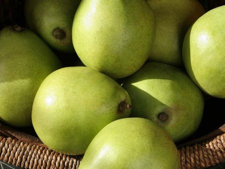 French d Anjou Pears on Sale