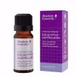 ABSOLUTE ESSENTIAL ORGANIC EUCALYPTUS ESSENTIAL OIL 10ML AUSTRALIAN on Sale