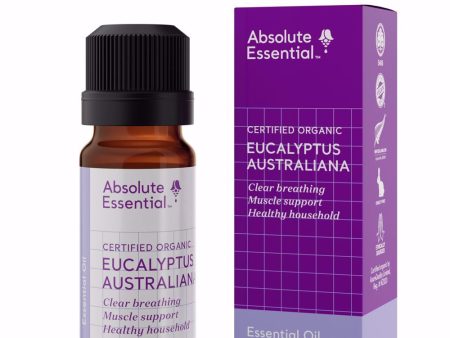 ABSOLUTE ESSENTIAL ORGANIC EUCALYPTUS ESSENTIAL OIL 10ML AUSTRALIAN on Sale