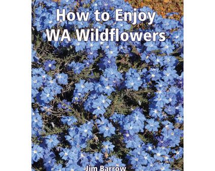 How to Enjoy WA Wildflowers Online Hot Sale