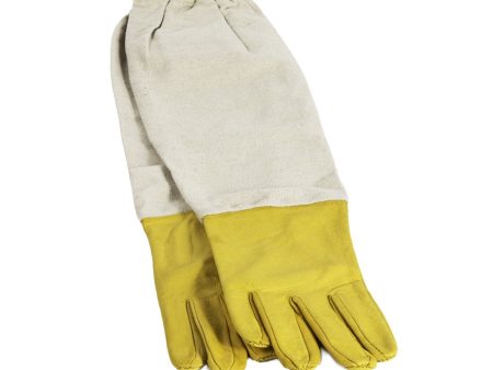 Non-Ventilated Gloves Online now