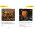 Reed Concise Guide: Wildflowers of Australia Supply