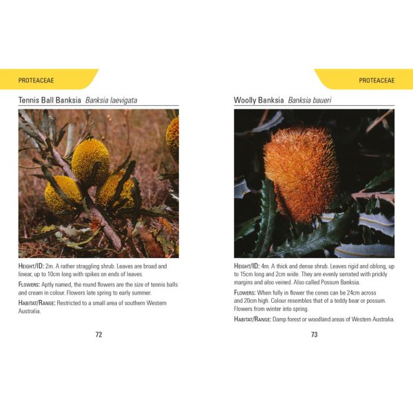 Reed Concise Guide: Wildflowers of Australia Supply