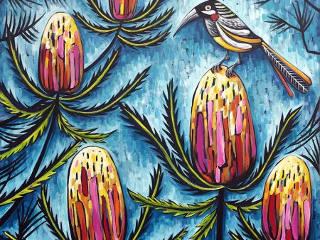 Red Wattle Bird and Banksia Print Discount