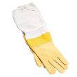 Ventilated Gloves Supply