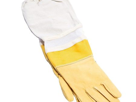 Ventilated Gloves Supply