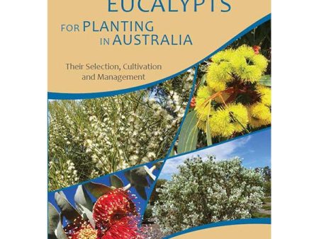 Smaller Eucalypts for Planting in Australia Sale