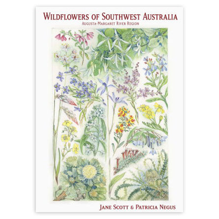 Wildflowers of Southwest Australia Online Sale