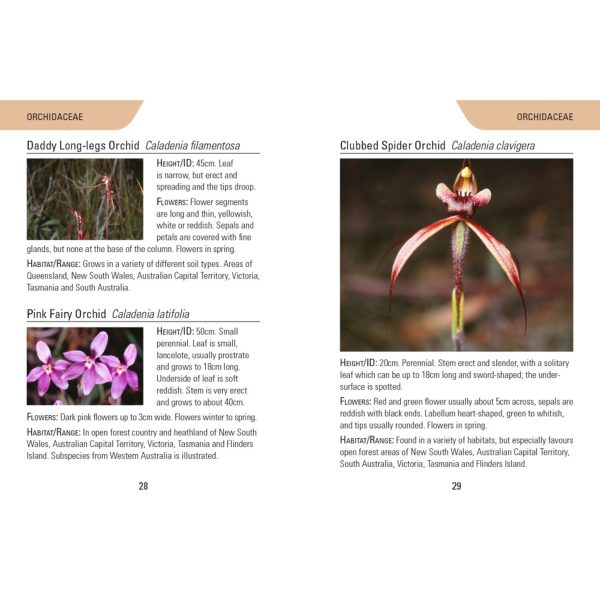 Reed Concise Guide: Wildflowers of Australia Supply