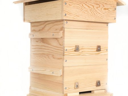 Warre Hive Sale