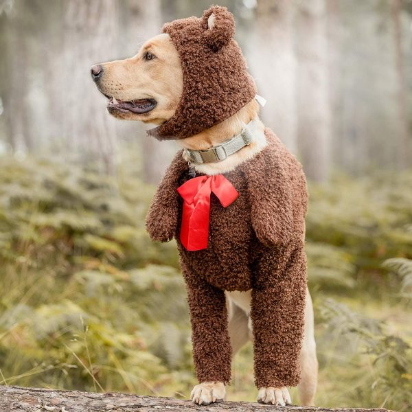 Teddy Bear Dog Costume Sale