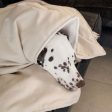 Dog & Puppy Blanket in Savanna Bone by Lords & Labradors on Sale