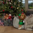 Christmas Elf Pup Fancy Dress Costume Online