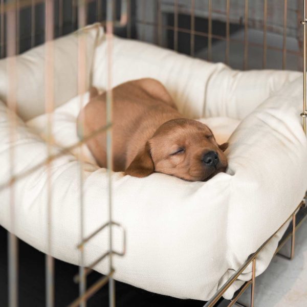 Cosy & Calming Puppy Crate Bed With Removable Covers in Savanna Bone by Lords & Labradors Online Hot Sale