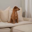 Sofa Topper in Savanna Bone by Lords & Labradors For Cheap