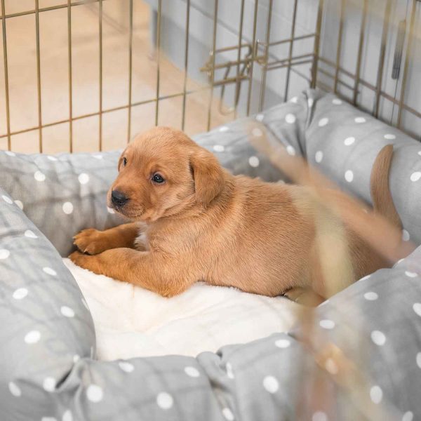 Cosy & Calming Puppy Crate Bed With Removable Covers in Grey Spot by Lords & Labradors Hot on Sale