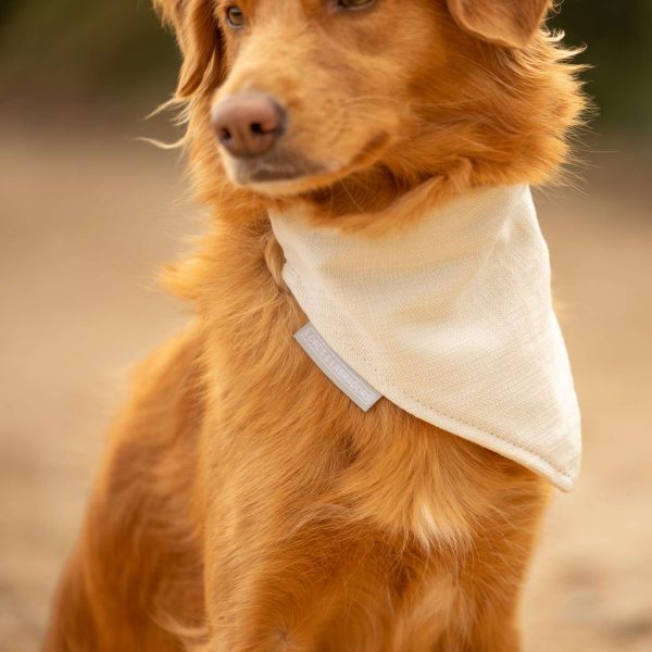 Bandana in Savanna Bone by Lords & Labradors Discount