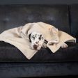 Dog & Puppy Blanket in Savanna Bone by Lords & Labradors on Sale