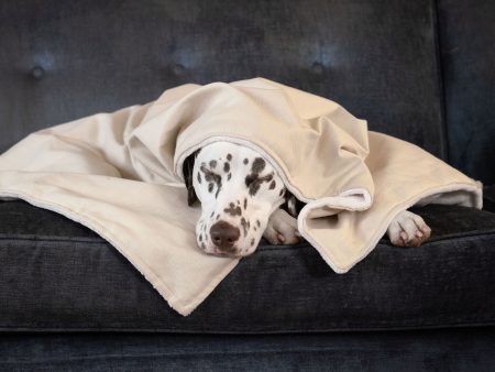 Dog & Puppy Blanket in Savanna Bone by Lords & Labradors on Sale