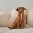 Sofa Topper in Savanna Bone by Lords & Labradors For Cheap