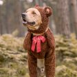 Teddy Bear Dog Costume Sale