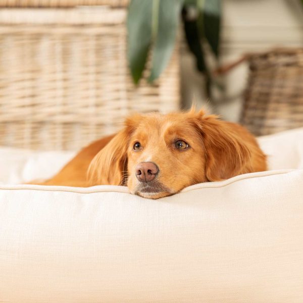 Box Bed With Removable Covers in Savanna Bone by Lords & Labradors Online Hot Sale