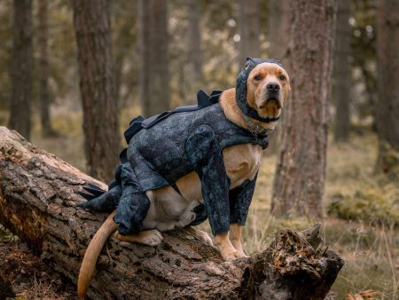 Stegosaurus Dog Costume Online now