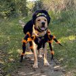 Spider Dog Costume Online Hot Sale