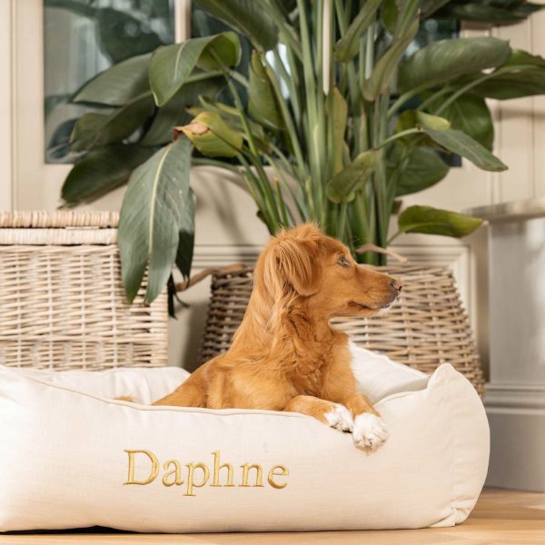 Box Bed With Removable Covers in Savanna Bone by Lords & Labradors Online Hot Sale