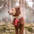 Teddy Bear Dog Costume Sale