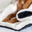 Dog & Puppy Blanket in Navy Essentials Plush by Lords & Labradors on Sale