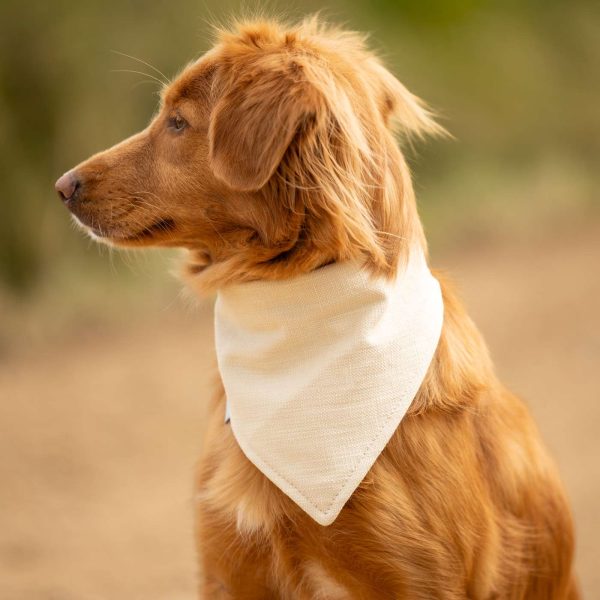 Bandana in Savanna Bone by Lords & Labradors Discount