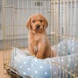 Cosy & Calming Puppy Crate Bed With Removable Covers in Duck Egg Spot by Lords & Labradors Online now