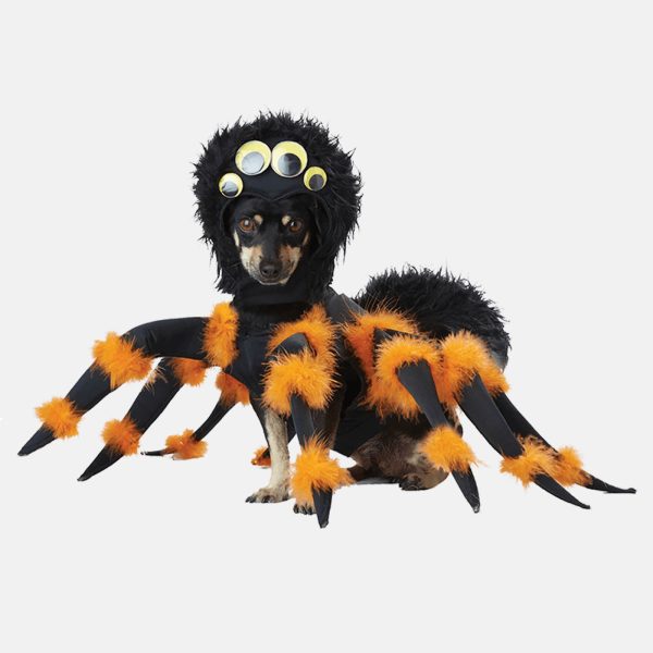 Spider Dog Costume Online Hot Sale